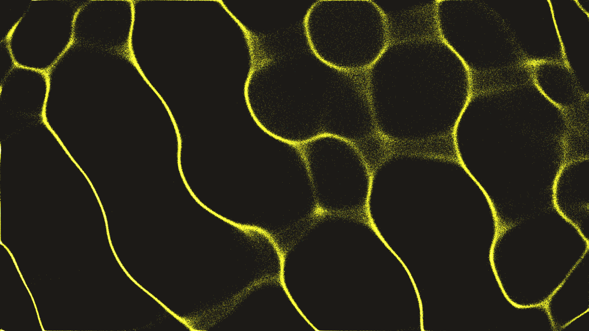 GG21 CCN Climate Solutions Round Retrospective