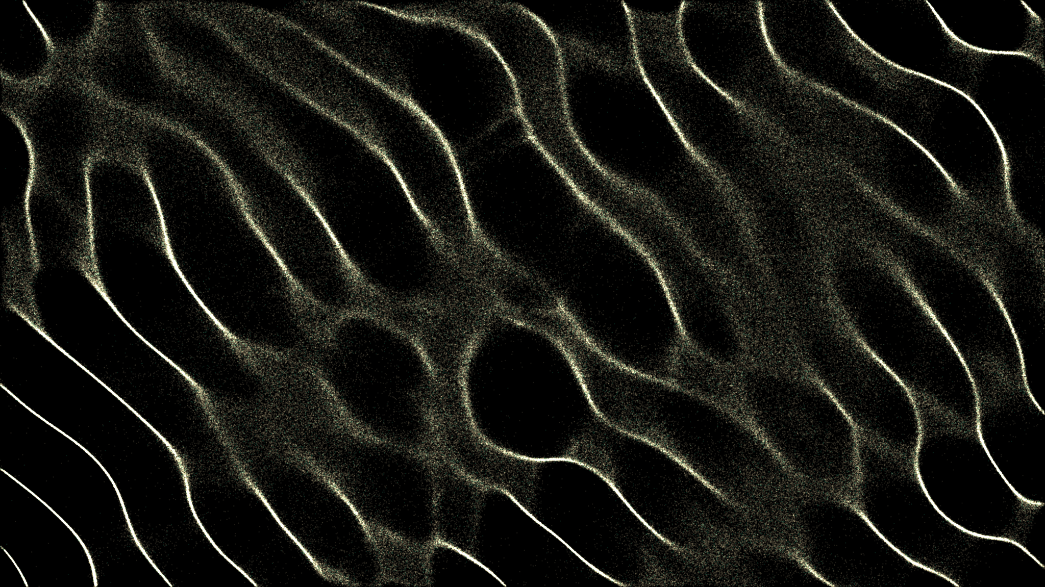 Fair Fees: A Dynamic Formula for Balancing Value Creation and Value Capture